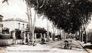 ZERALDA - RUE PRINCIPALE ET AVENUE DES PLATANES